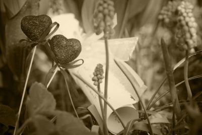 Principles for Interpreting the Psalms (II): An Analysis of Lament Psalms